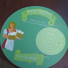 Rheine-Almelo (2006) 029